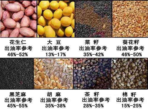 雙象榨油機(jī)出油率參考